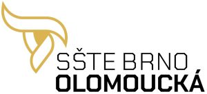 SSTE Logo